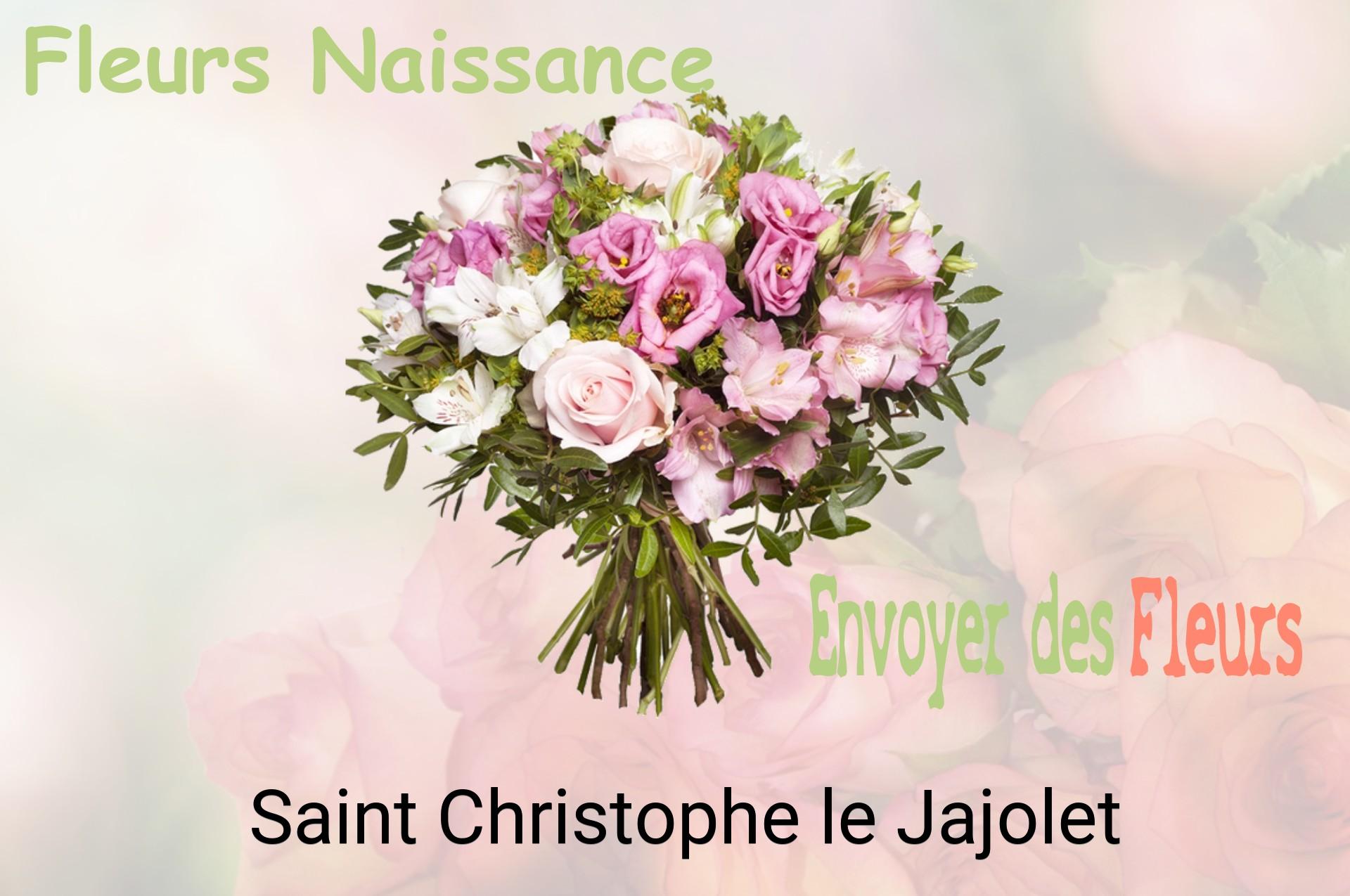 Bouquet de fleurs de naissance livré à Saint-Christophe-le-Jajolet